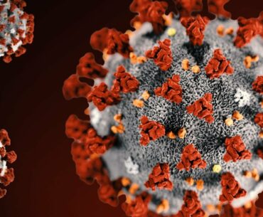 Covid-19, Vitamin D, and Pregnancy