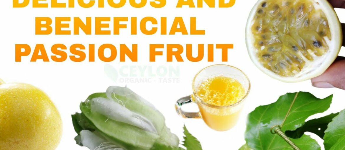 Delicious and beneficial Passion fruit - Best fruit with many nutrients