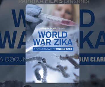 World War Zika