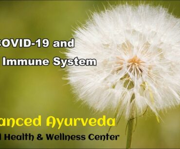 COVID 19 and Your Immune System