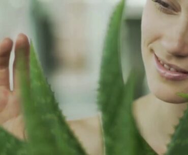 Aloa Vera Juice health benefits