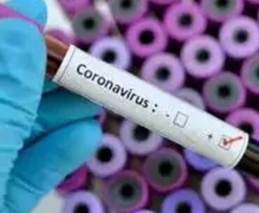 Vestige immunity boost supplements