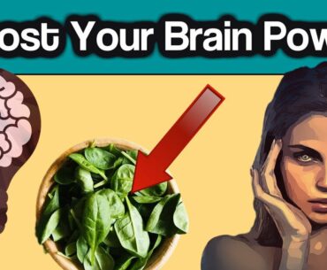 Boost Your Brain Function with these 6 Vitamins and Minerals – Optimize the Power of your Mind