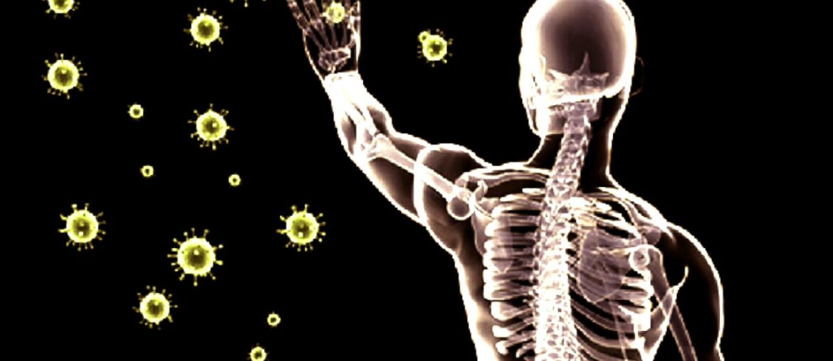 Mark One 1   Vitamin-a C?   ft Lazy 2020