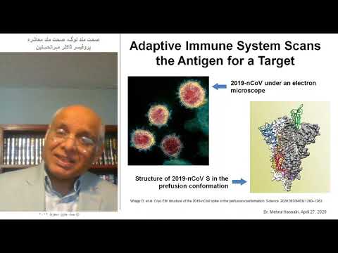 COVID 19 - Immunity and Antibodies