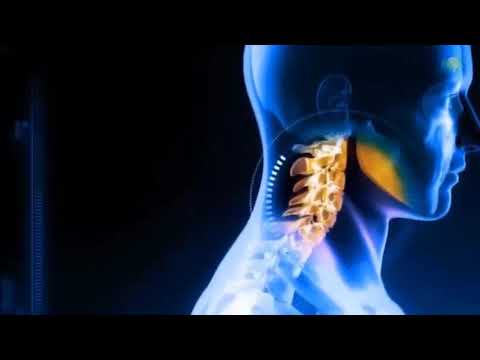 Dhanwantari's CalRich Capsule #Ayurveda#Treading