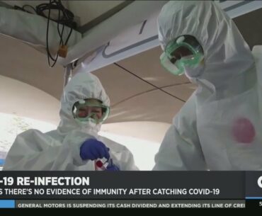 WHO: There's No Evidence Of Immunity After Catching Covid-19
