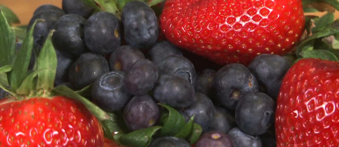 Eating to Remember: Memory-Boosting Brain Food