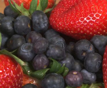 Eating to Remember: Memory-Boosting Brain Food