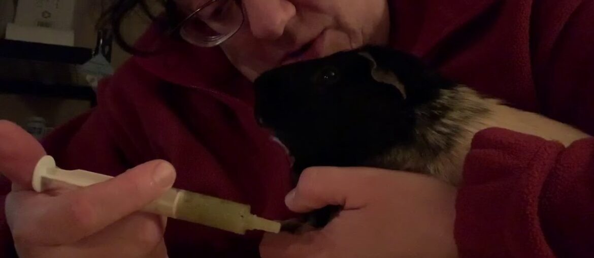 Freddy’s first critical care feed!