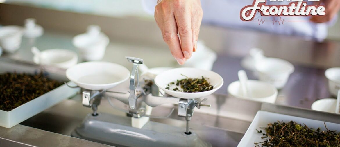 Live: Chinese experts share TCM therapy for COVID-19 with overseas counterparts