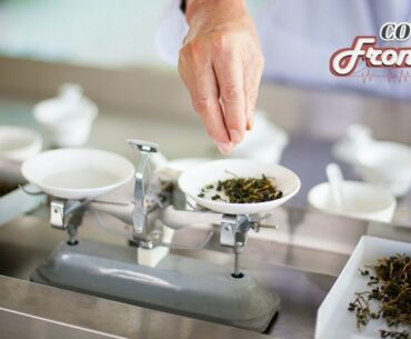 Live: Chinese experts share TCM therapy for COVID-19 with overseas counterparts