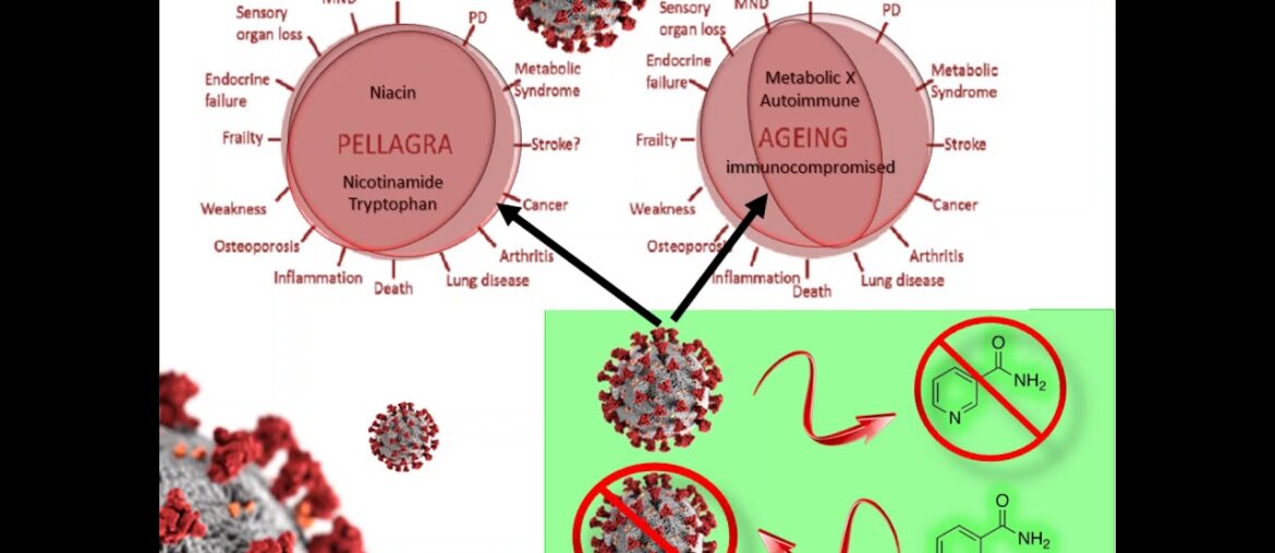 VITAMIN B3 (NICOTINAMIDE) & CORONAVIRUS (COVID-19)...