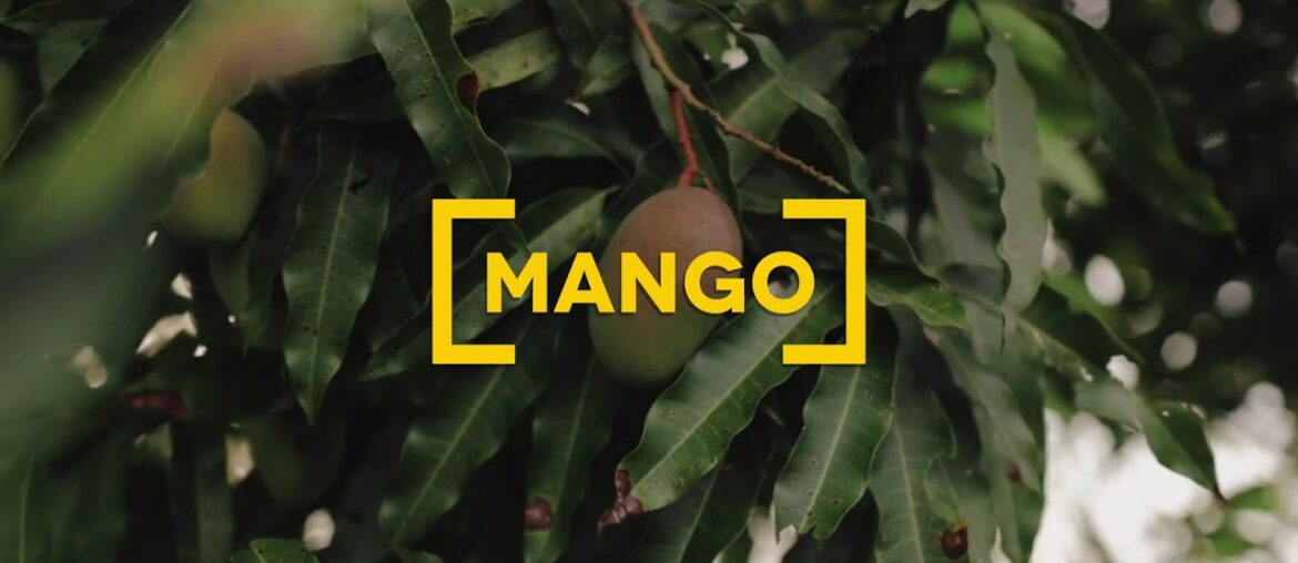 A Guide to Vitamin C