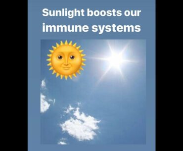 HOW TO BOOST IMMUNITY -  Ep 2