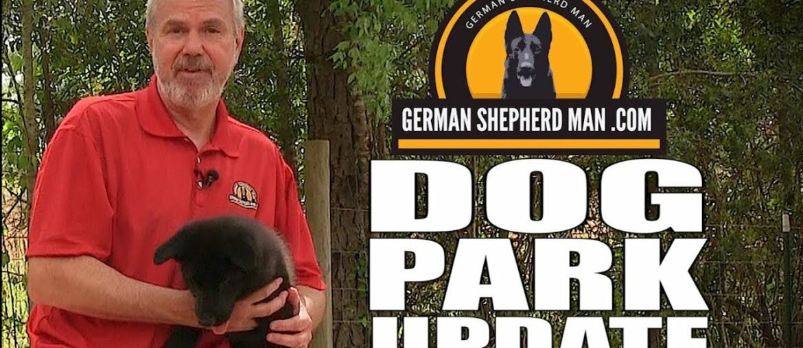 Are Dog Parks a good thing??? With German Shepherd Man