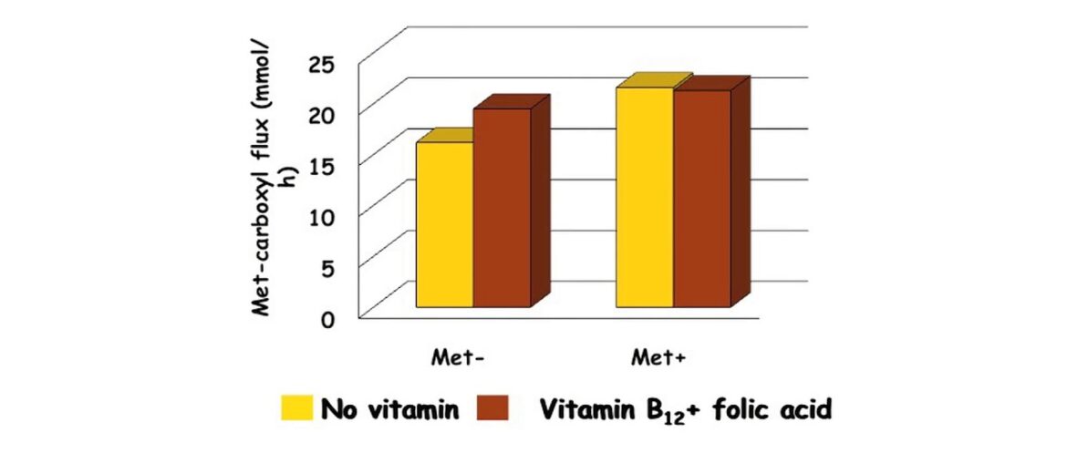 Folic Acid and Vitamin B12 Nutrition of Dairy Cow - Dr. Christiane Girard