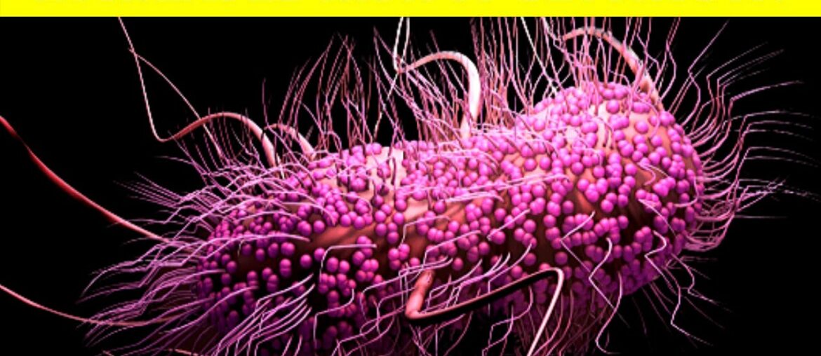 7 Signs You Have A Vitamin C Deficiency