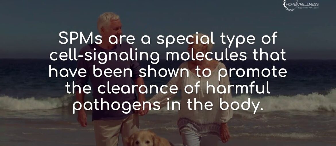 Combat Viruses With The Best Supplements For Immune Support