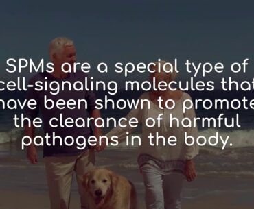 Combat Viruses With The Best Supplements For Immune Support