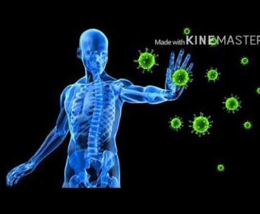 Coronavirus: Immunity Booster Foods in Hindi