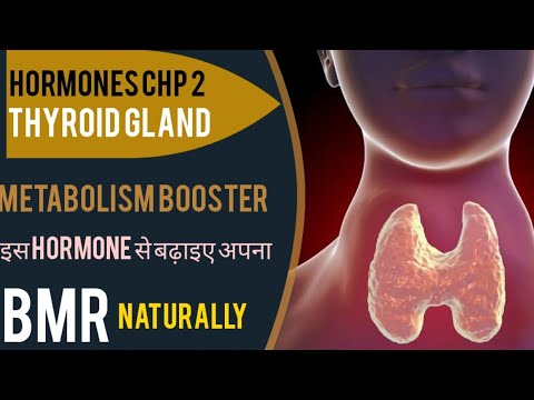 Thyroid Gland- Metabolism Booster |naturally BMR को बढ़ाने के लिए ये hormone की knowledge बहुत जरूरी