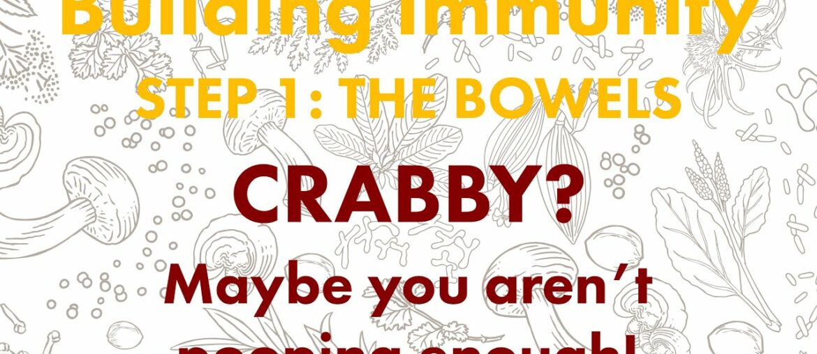 Building Immunity: Step 1 - THE BOWELS