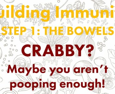 Building Immunity: Step 1 - THE BOWELS