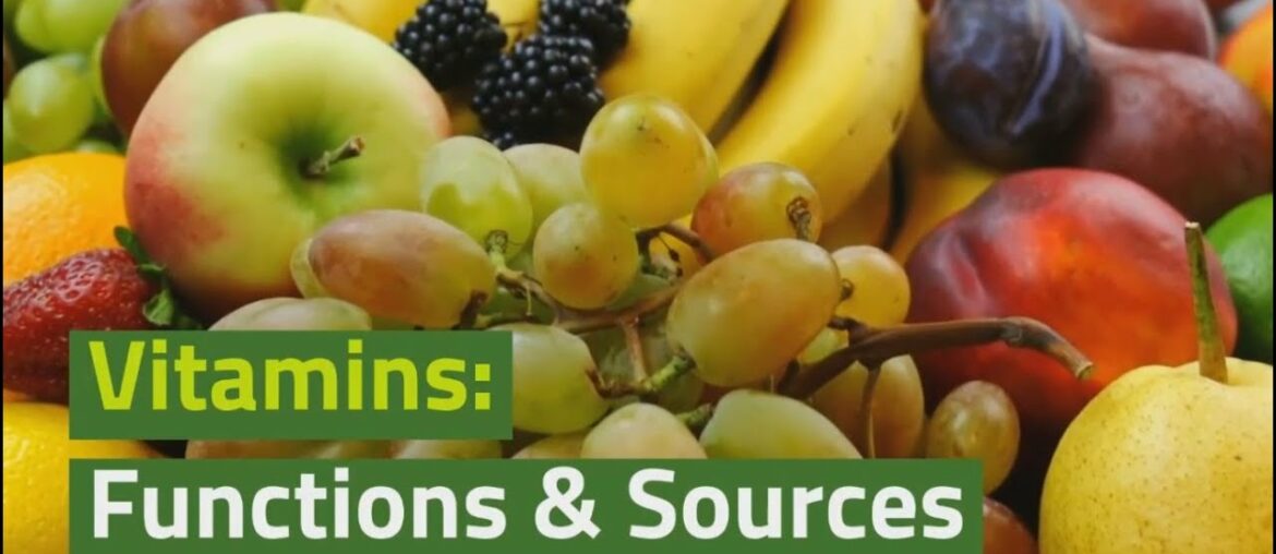 Vitamins Key Functions and Food Sources