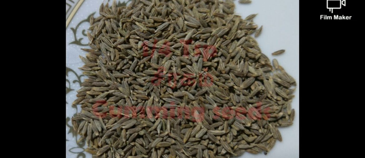 நிலக்கடலை சட்னி # immunity booster #fertility booster# health heart# folic Acid#protein rich