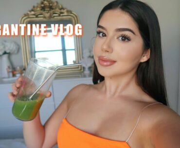 A Day in My Life in Quarantine ♡ Vlog #5 | Amanda Diaz