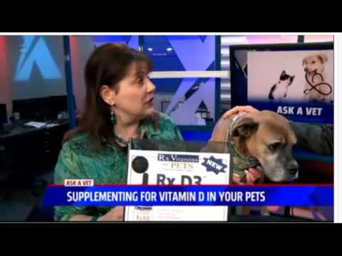 Vitamin D Supplements - Ask a Vet with Dr. Jyl