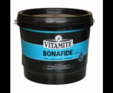 Supplements I feed my Eventing Team - ALE