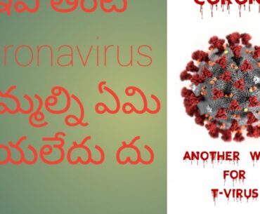 Vitamins to boost immunity