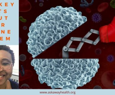 5 Key Facts About Your Immune System