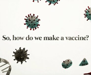 The race for a COVID-19 vaccine, explained