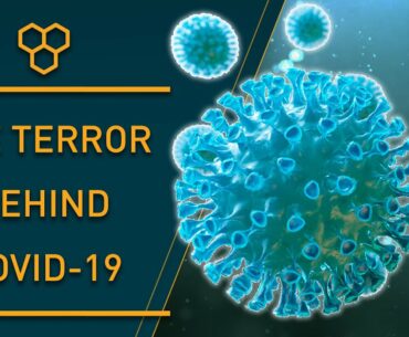 It's not the Covid19 creating fear. It's us. Let's take back control! Wim Hof