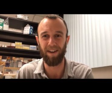 SARS2 coronavirus immunity, re-infection and convalescent plasma as treatment for COVID-19 (#9)