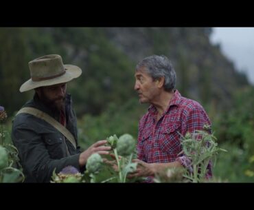 Swisse. The Quest, continues