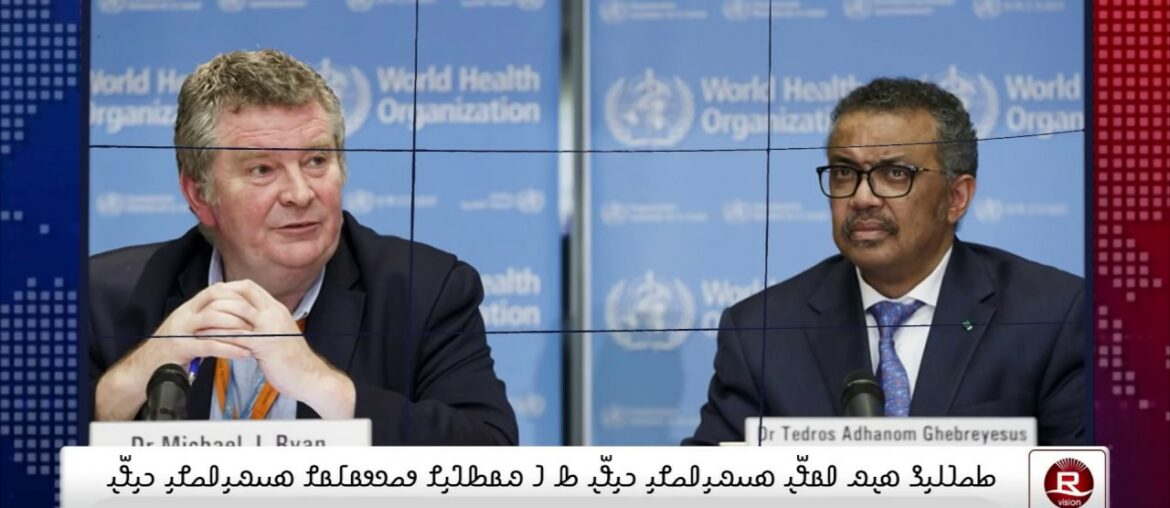 WHO warns against coronavirus 'immunity passports'