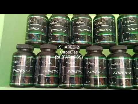 Maxener wellness 💪💊 protein powder nutritions 💊 💪