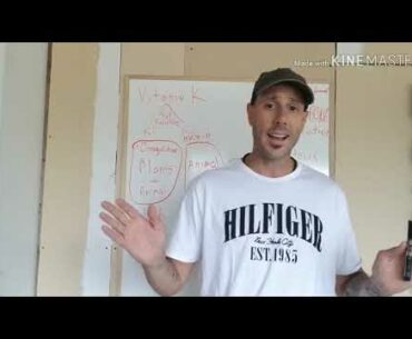 VITAMIN K2 AND ARTHEROSCLEROSIS // Plant versus Animal sources