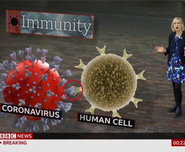 Coronavirus (Covid-19) Following the immunity trail (Global) - BBC News - 29th April 2020