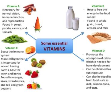 Nutrition 2 - Water, Vitamins, Minerals and Fiber