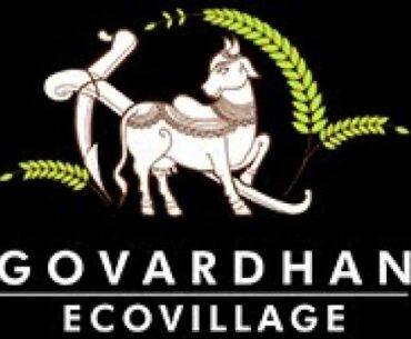 Immunity Booster for Pitta Prakriti