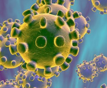 Covid-19: Astaxanthin 100% Potent In Boosting Immunity