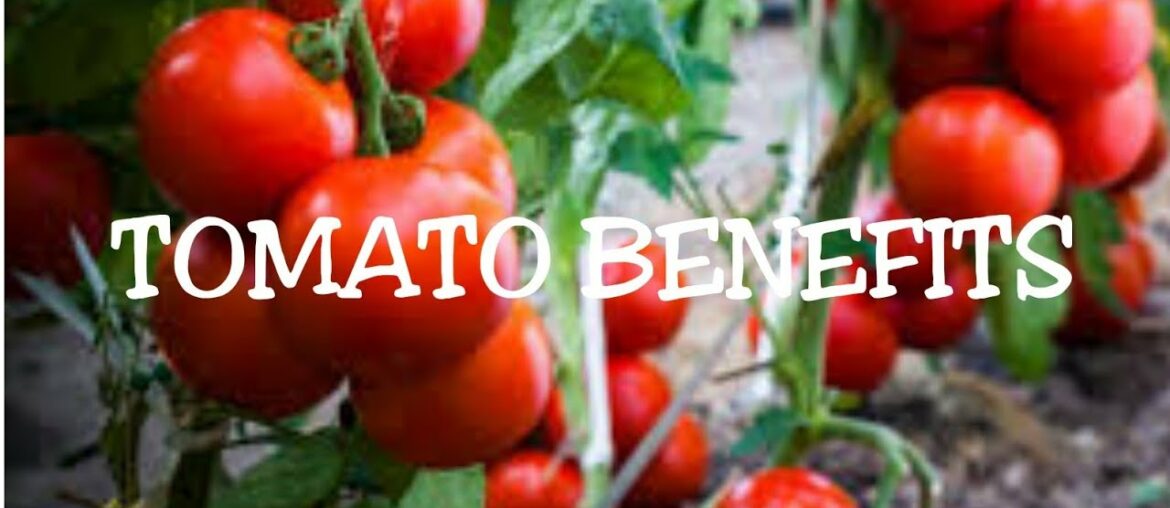 Nutrition Facts of Tomato | Benefits of Tomato | Health Benefits | Classic Hut