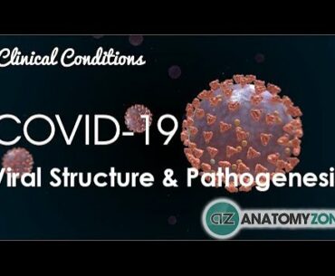 Coronavirus COVID-19 | Viral Structure & Pathogenesis
