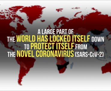 How is Sweden trying to acquire herd immunity to combat covid-19 pandemic ?