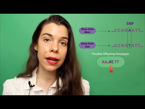 How to Personalize Your Nutrition Based On Genetics (Revised 3/19/15)